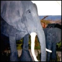 Finished elephant.