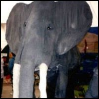 Finished elephant.