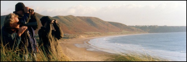 Shore-based surveying effort