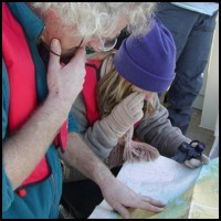 Rob & Rhian looking for a suitable POD location